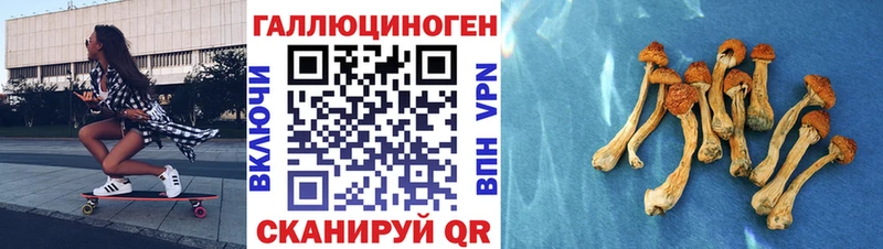 Псилоцибиновые грибы MAGIC MUSHROOMS купить цена Питкяранта